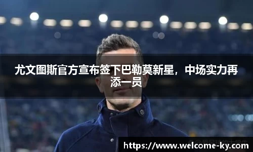 开云体育入口